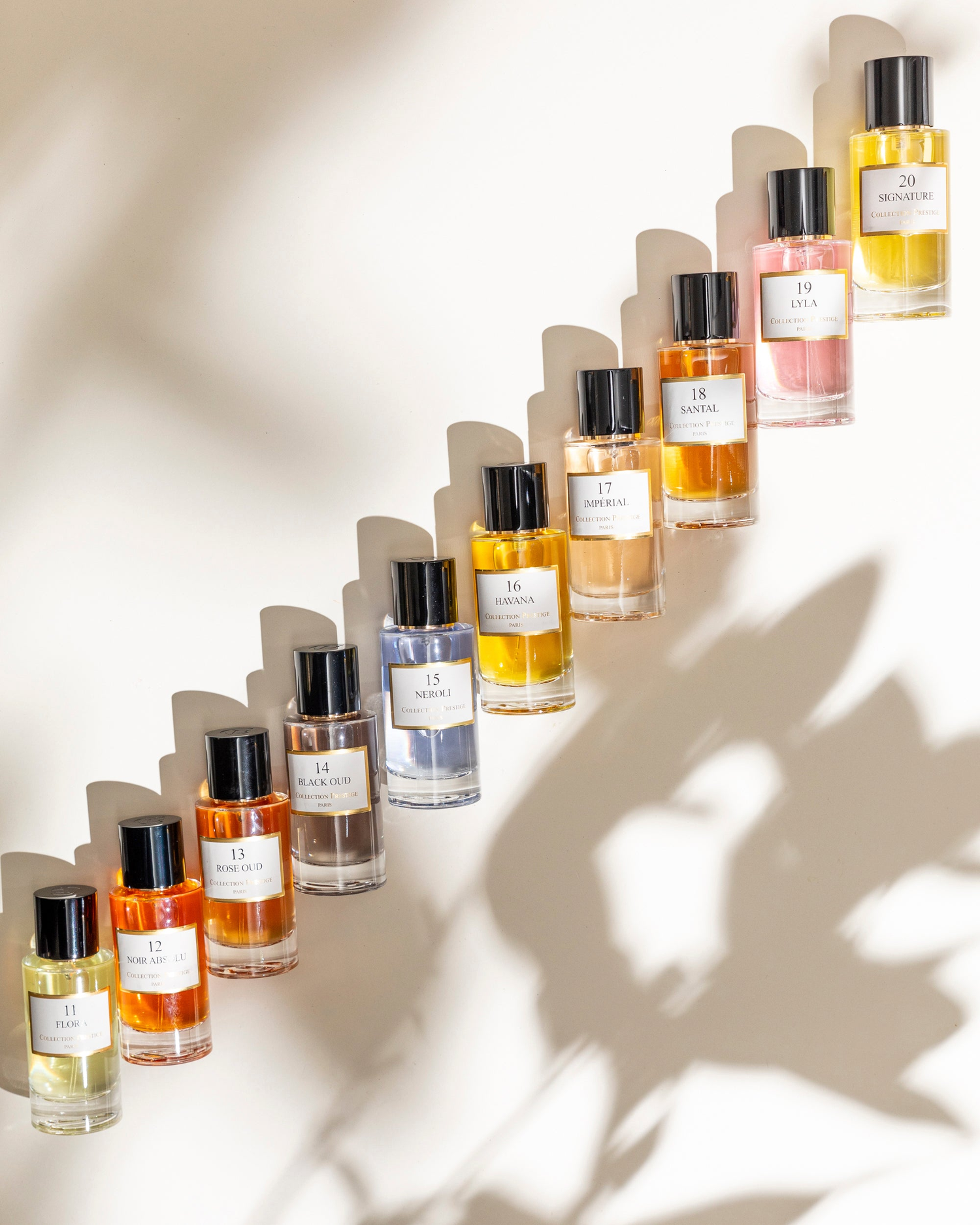 Collection Prestige Paris